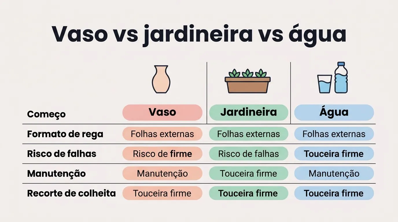Gráfico comparando colheita e cuidados de cebolinha em vaso, jardineira e água.