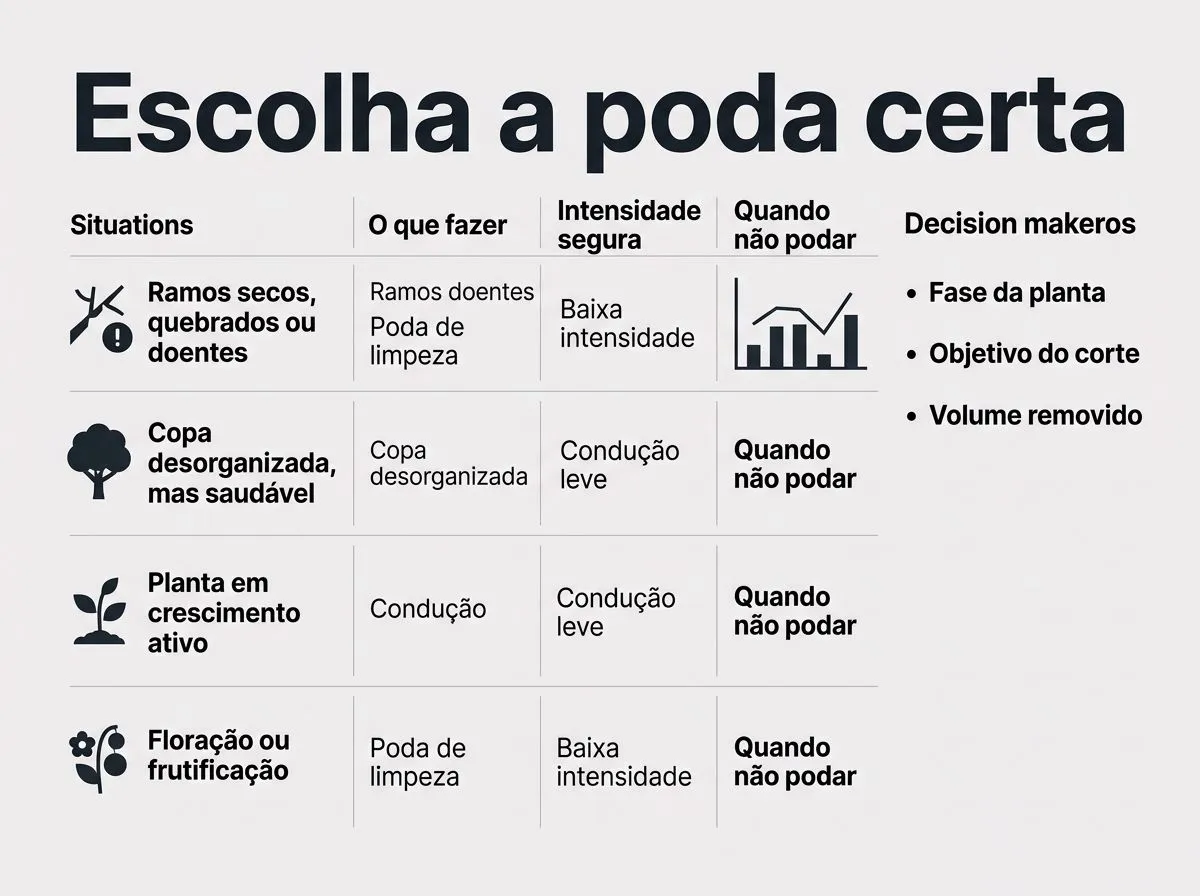 Checklist visual para decidir o tipo e a intensidade da poda conforme a situação da planta e a fase.