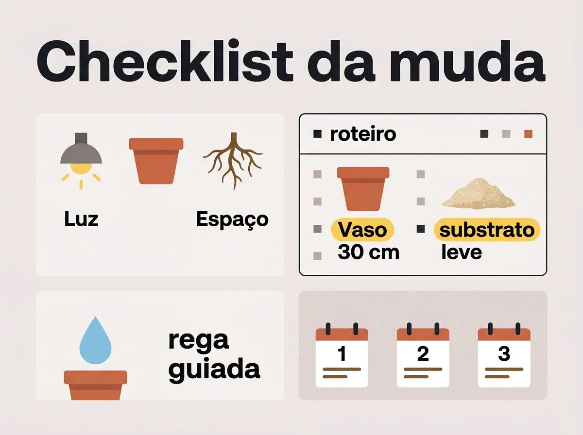 Checklist ilustrado para comprar a muda e iniciar o cultivo de couve em vaso no apartamento