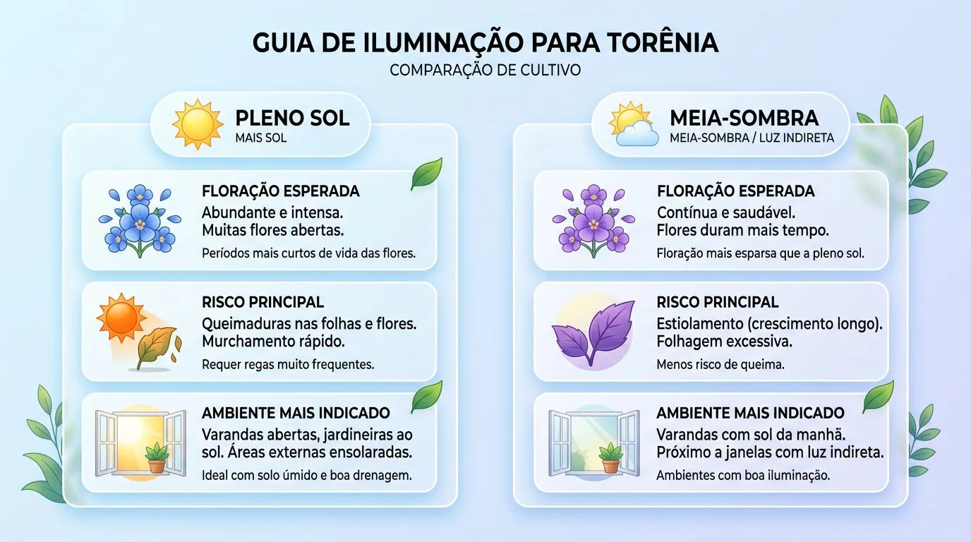 Comparativo visual de sol pleno e meia-sombra para cultivo de torênia, mostrando floração esperada e riscos principais.