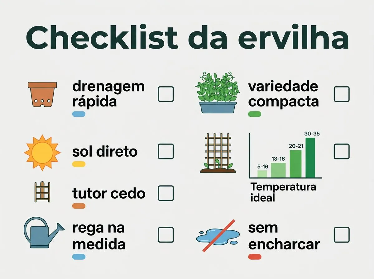 Checklist com pontos principais para acertar o cultivo de ervilha em vaso